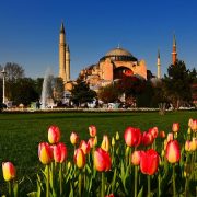 Full Day Istanbul Discovery Tour included Hagia Sophia