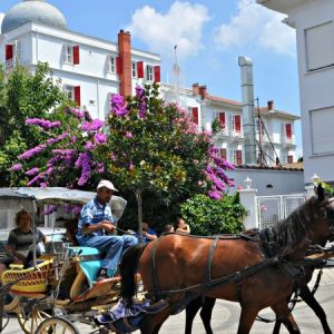 3 Days Istanbul Princes Island Bursa & Sapanca Package Without Hotel